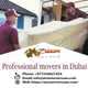 Illustration for article titled Professional movers in Dubai with low price with best moving services